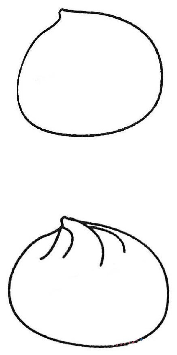 1分钟画一个包子简笔画