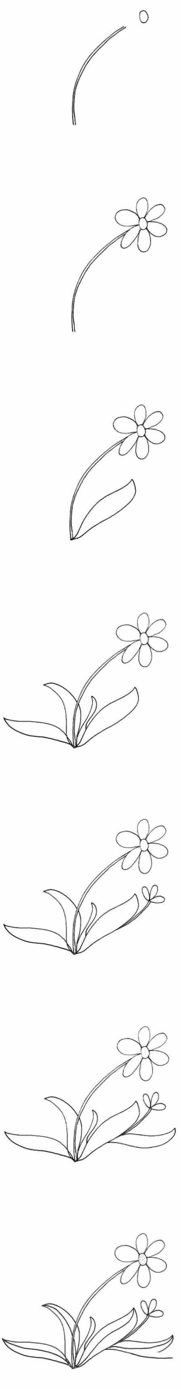 一步一步绘画太阳花简笔画