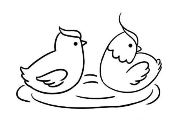 一对鸳鸯简笔画