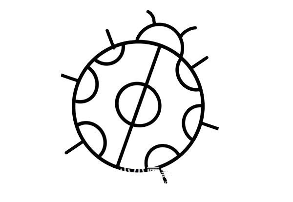 可爱的七星瓢虫简笔画