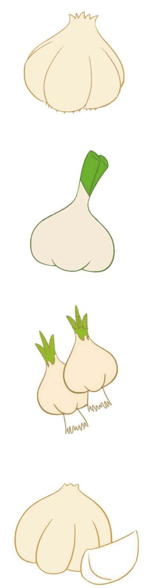怎么画带颜色的大蒜