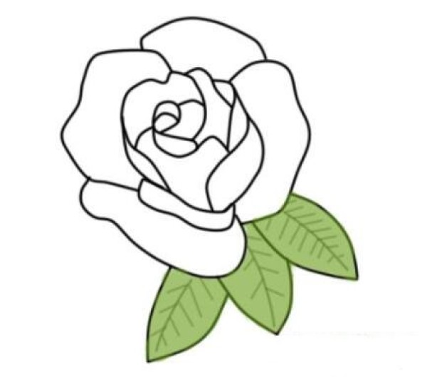怎么画栀子花