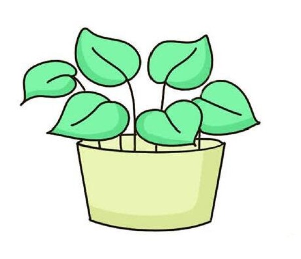 带颜色的绿萝简笔画