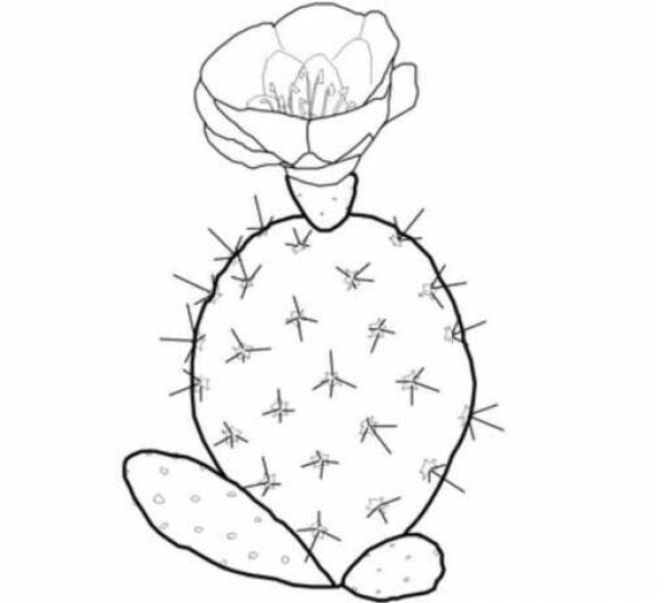 简单又好看的卡通仙人球简笔画