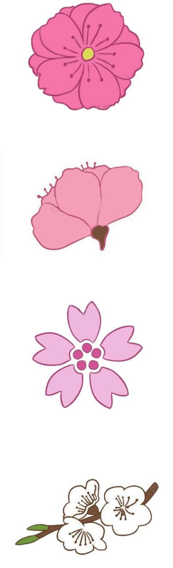 简单漂亮樱花怎么画