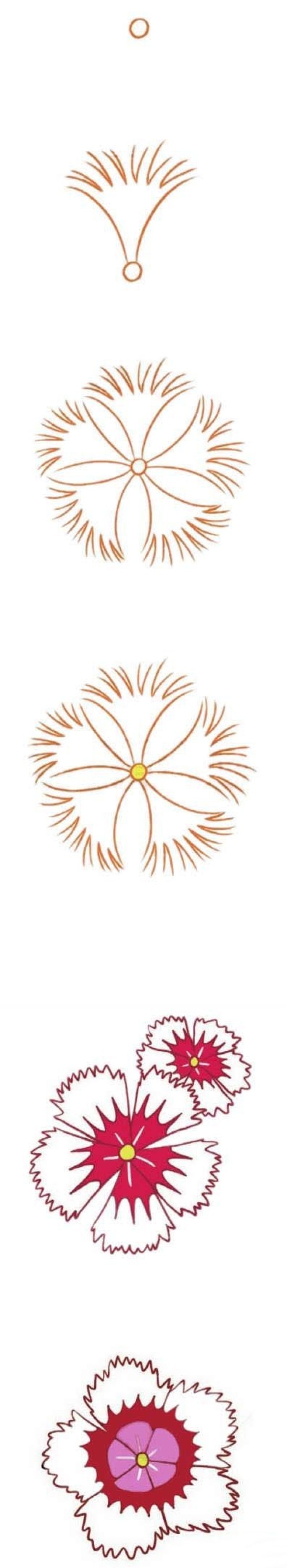 石竹花简笔画