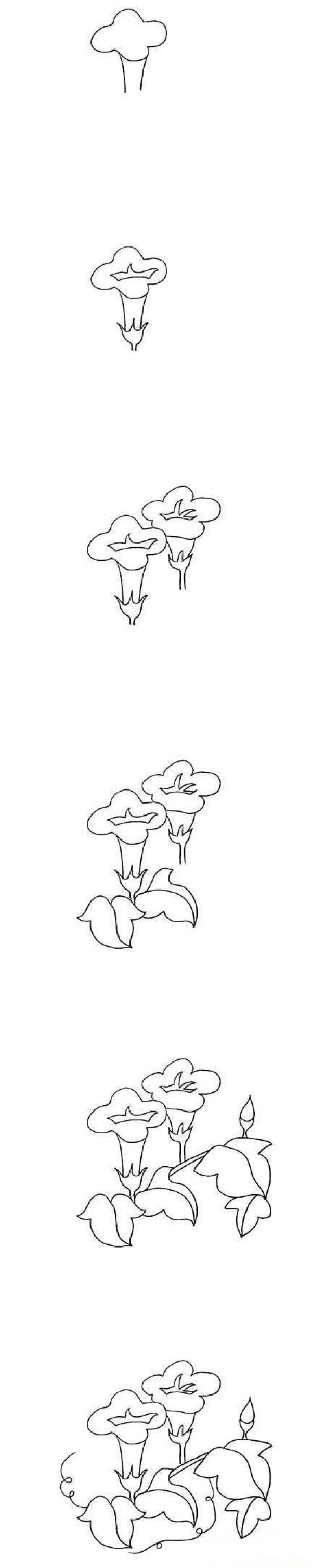 1分钟画牵牛花简笔画
