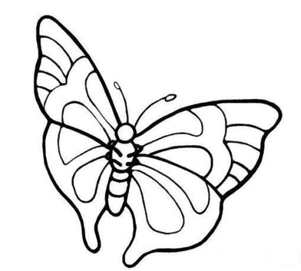 花蝴蝶手绘简笔画