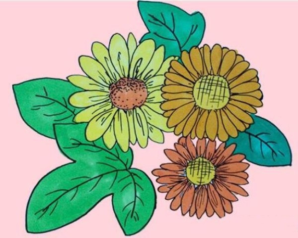 野菊花怎么画