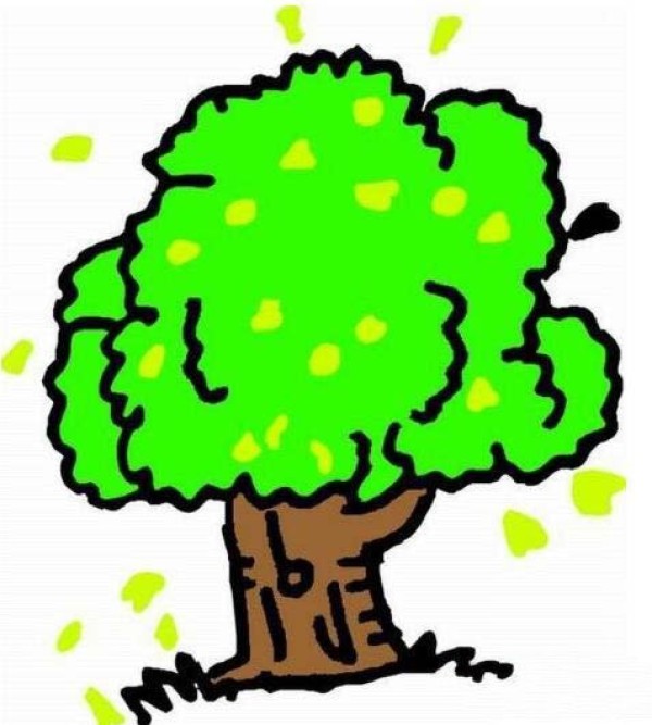 绿色好看的大树简笔画