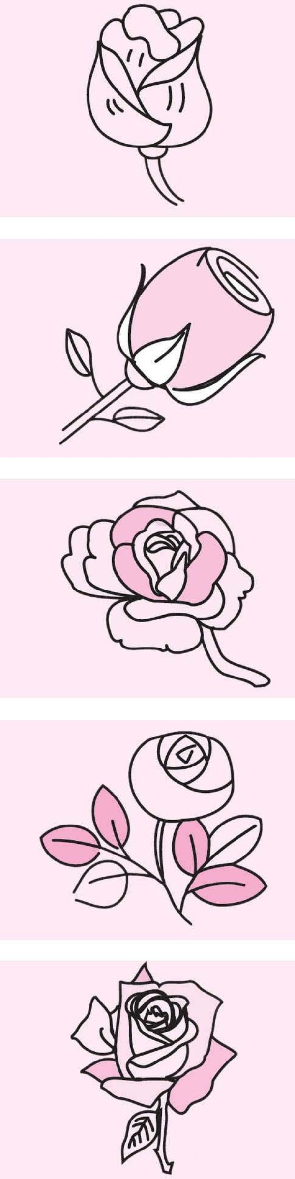 彩色玫瑰花怎么画