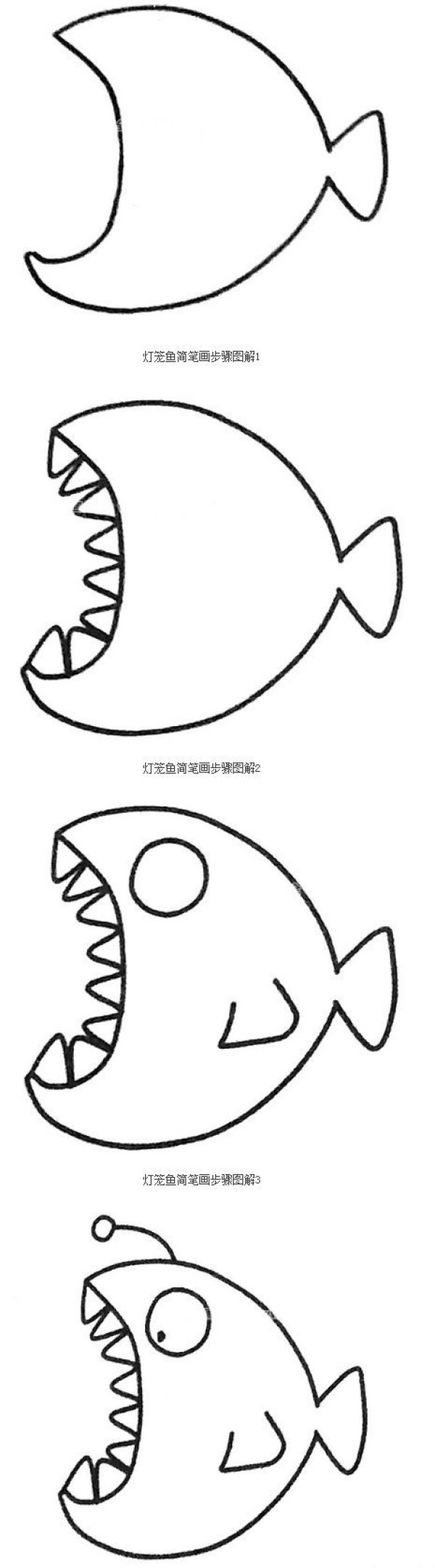 灯笼鱼怎么画