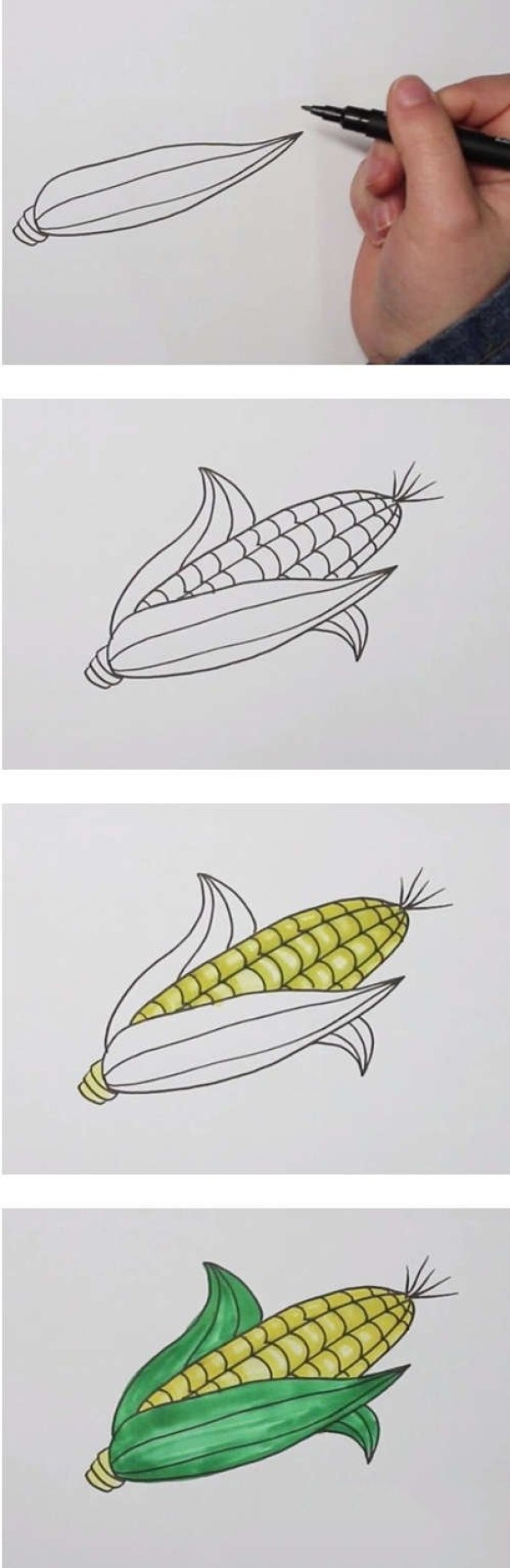 玉米棒简笔画