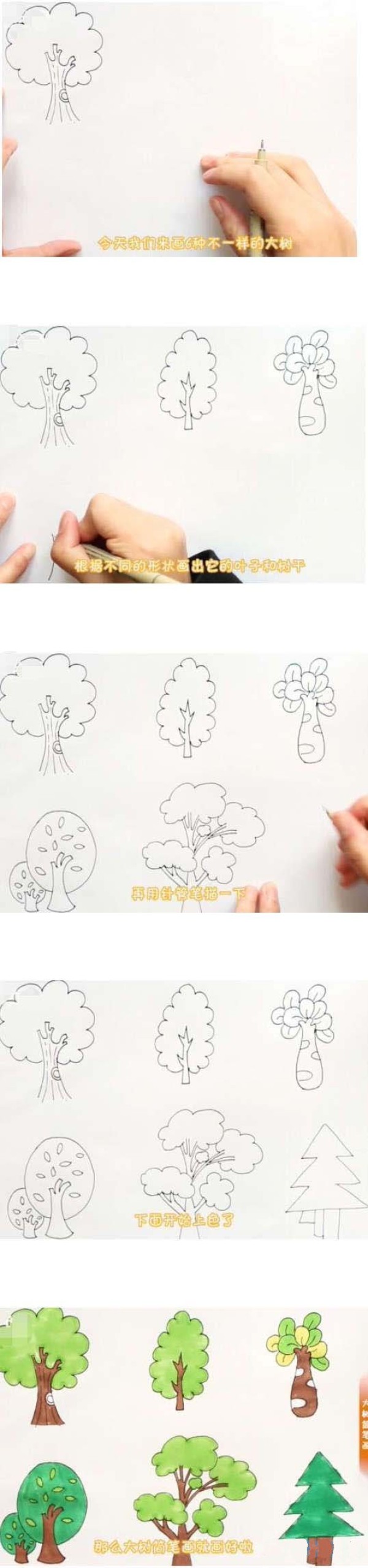 六种大树简笔画