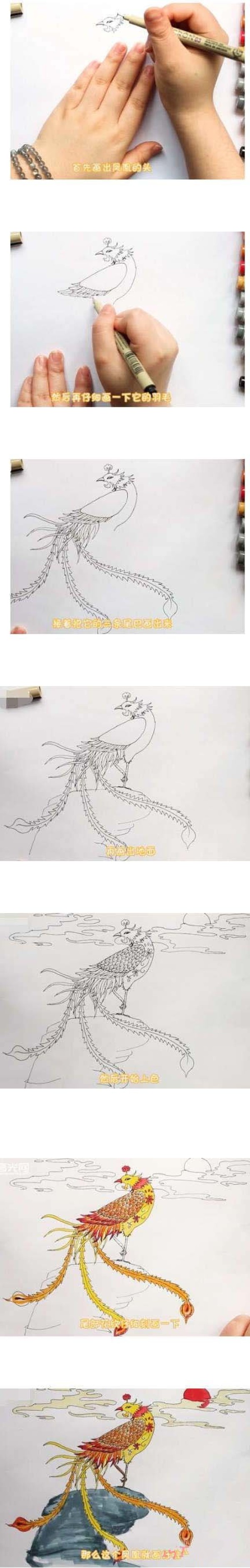 彩色的凤凰简笔画
