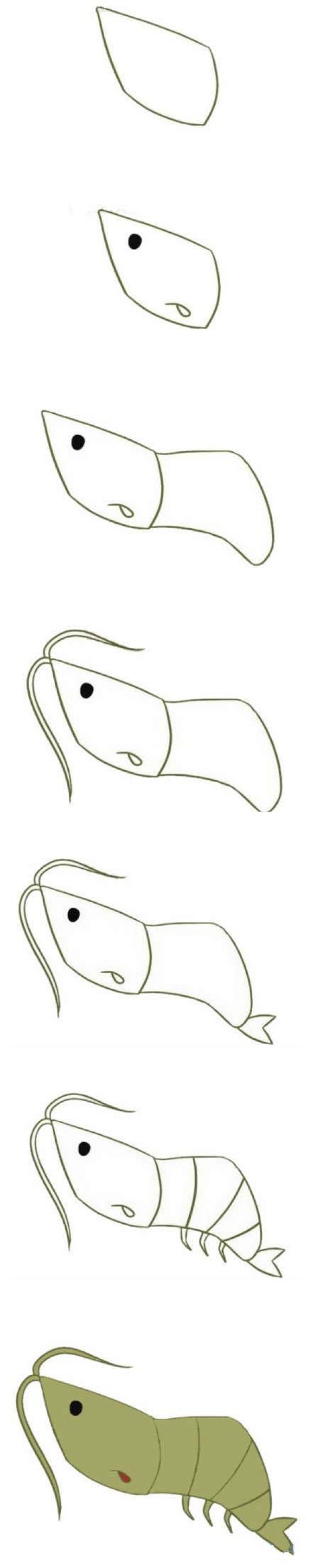 小虾简笔画图片
