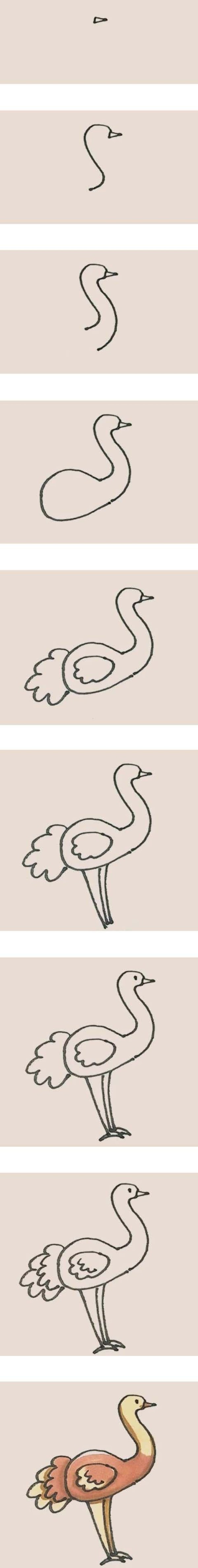 彩色鸵鸟怎么画