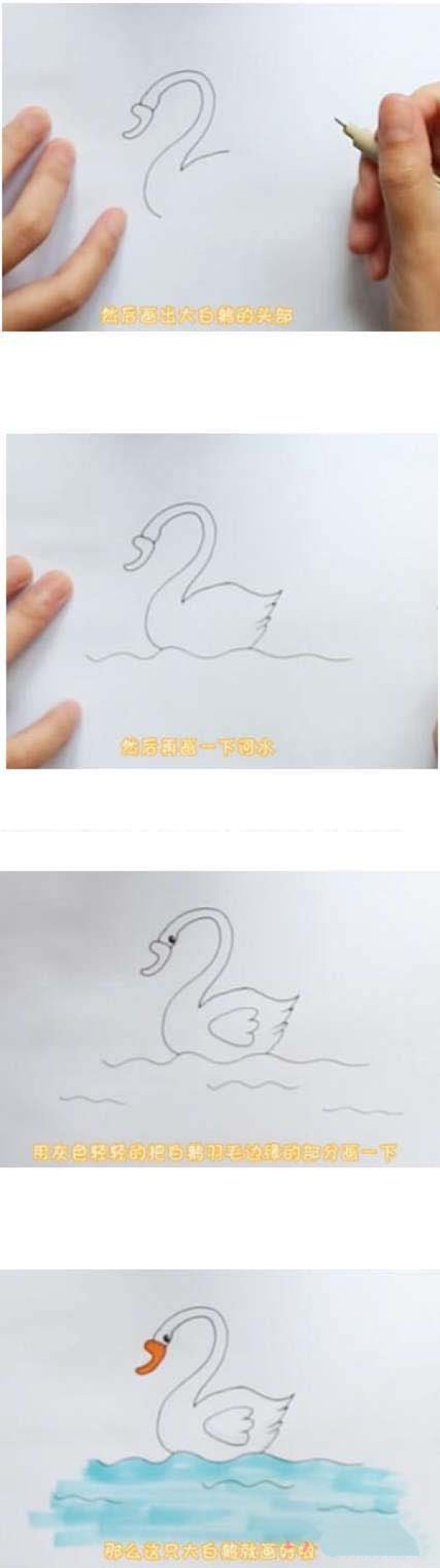 如何画大白鹅