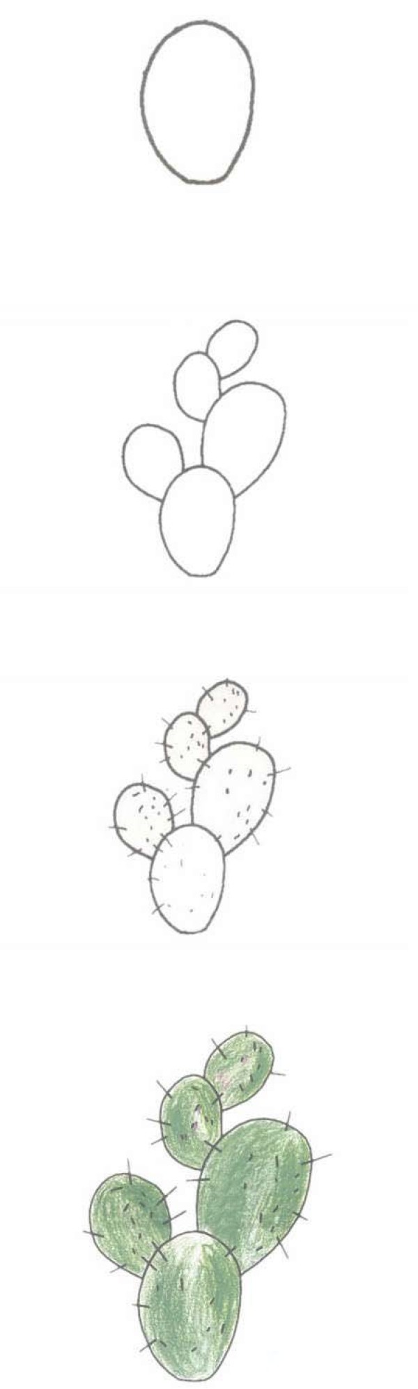 绿色的仙人掌简笔画