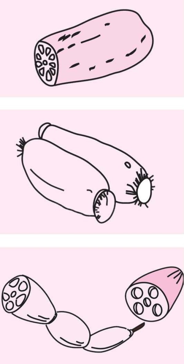 莲藕怎么画