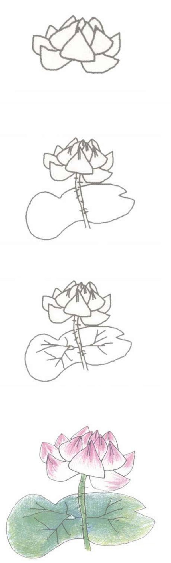 手绘漂亮荷花简笔画