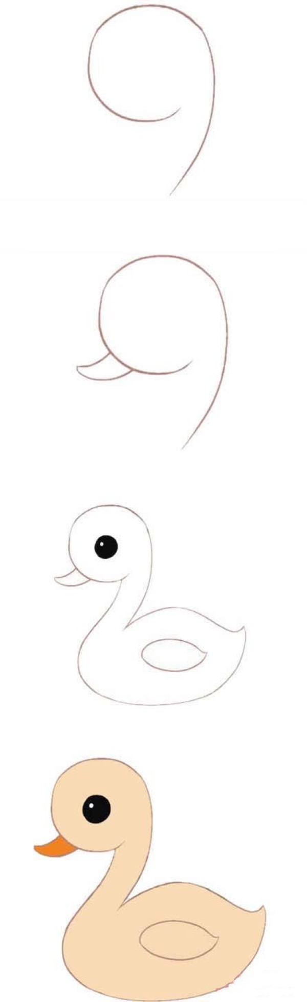 简单漂亮的天鹅简笔画