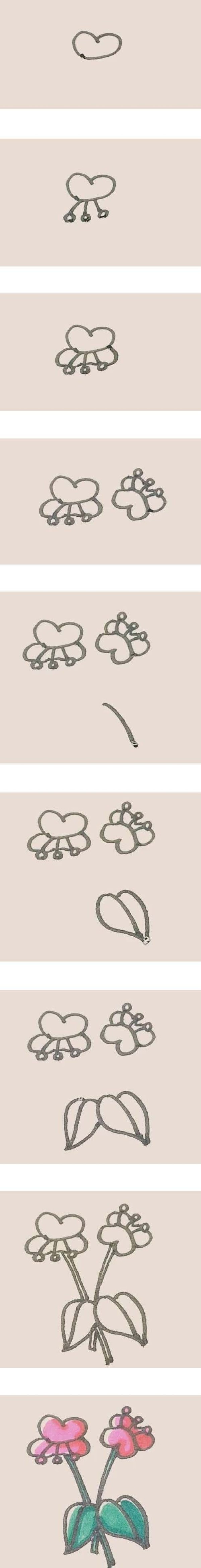 彩色蝴蝶兰简笔画画法步骤图