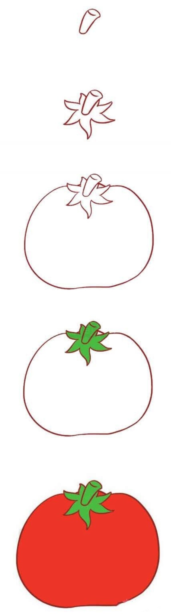 一步一步画西红柿简笔画
