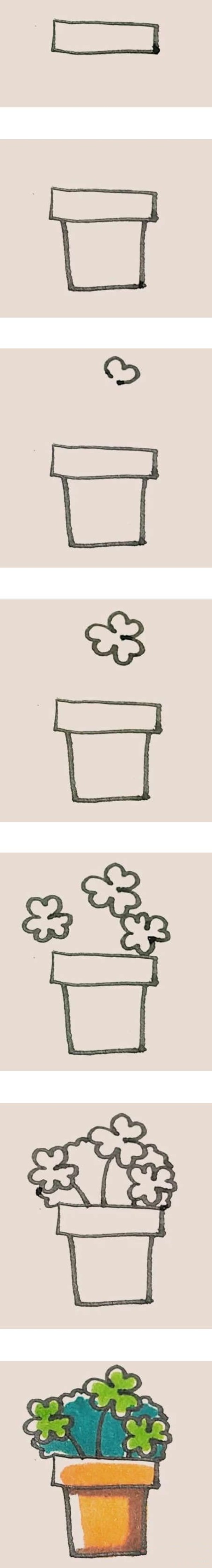 彩色三叶草盆栽简笔画