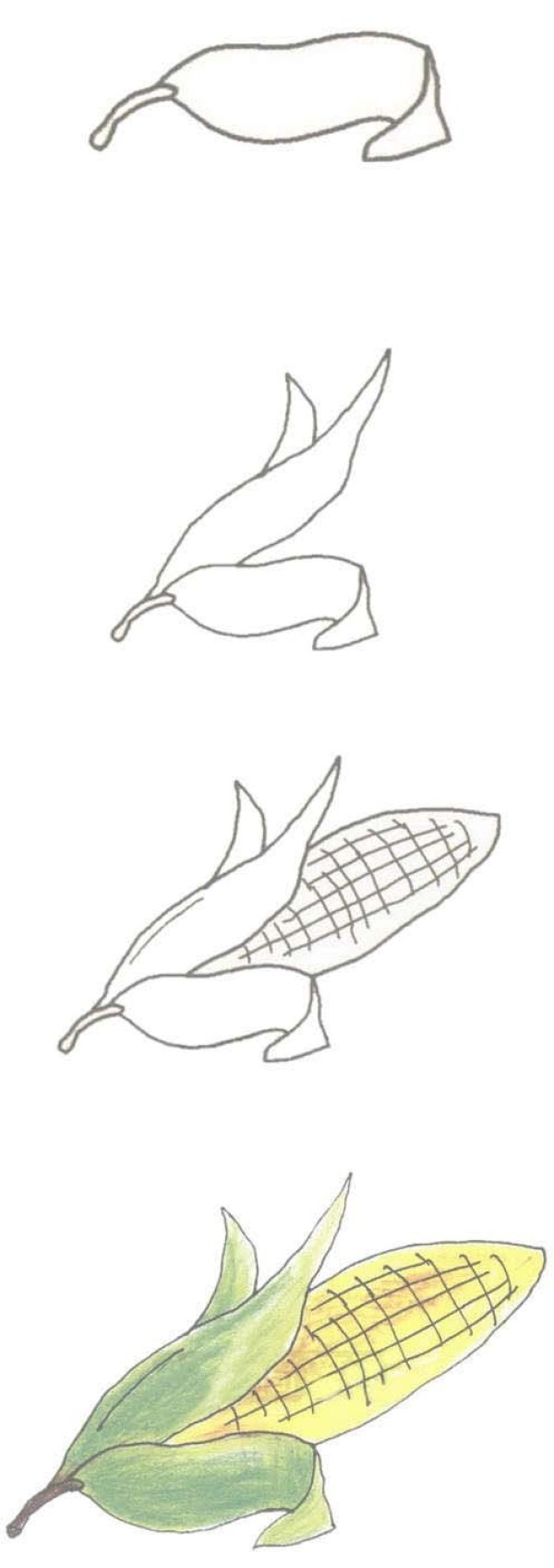 手绘玉米棒简笔画