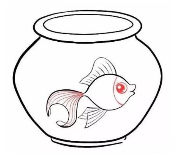 鱼缸里的金鱼简笔画