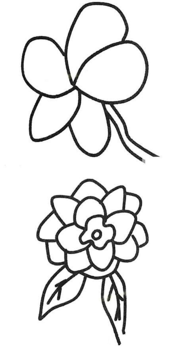 山茶花简笔画