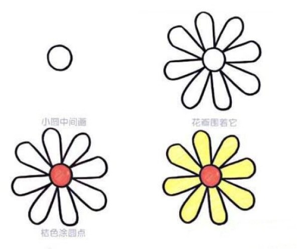 秋天开放的菊花简笔画