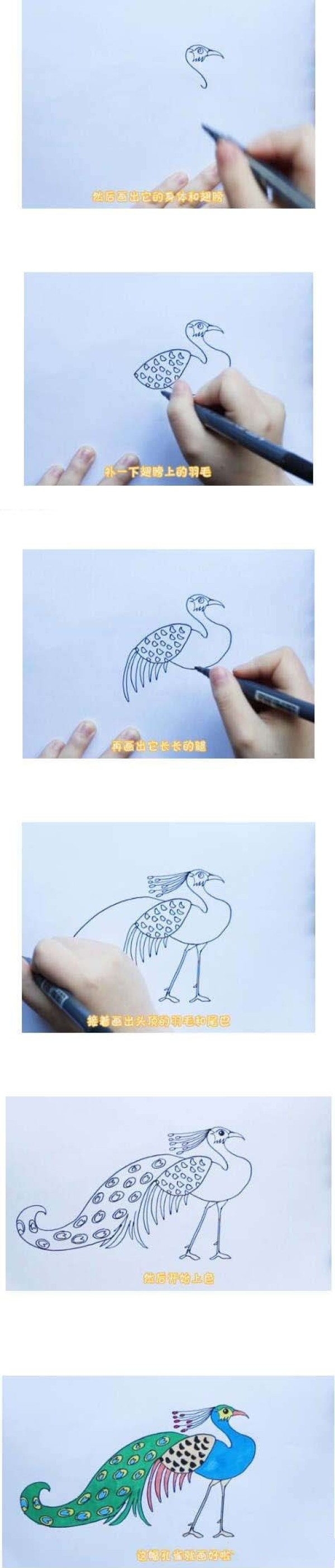 漂亮的孔雀简笔画