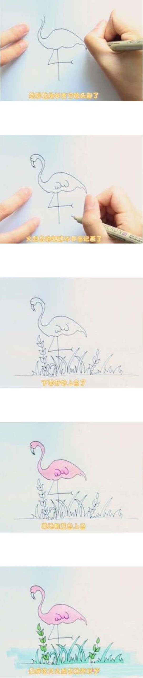 怎么画火烈鸟