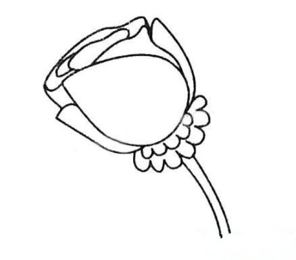 简单玫瑰花简笔画