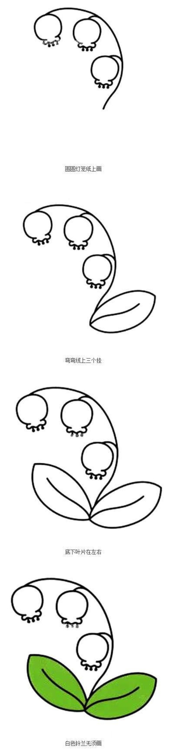 白色铃兰花简笔画