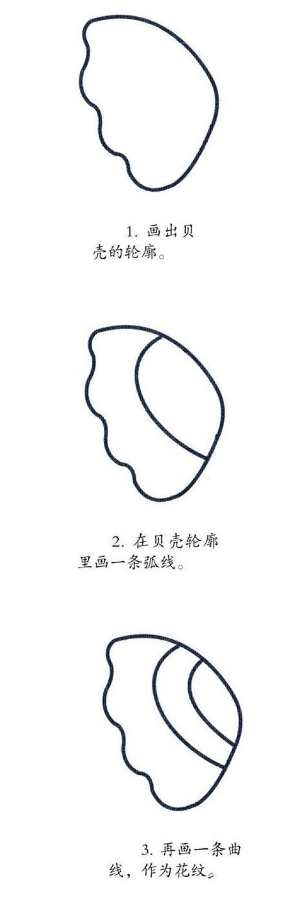 贝壳怎么画