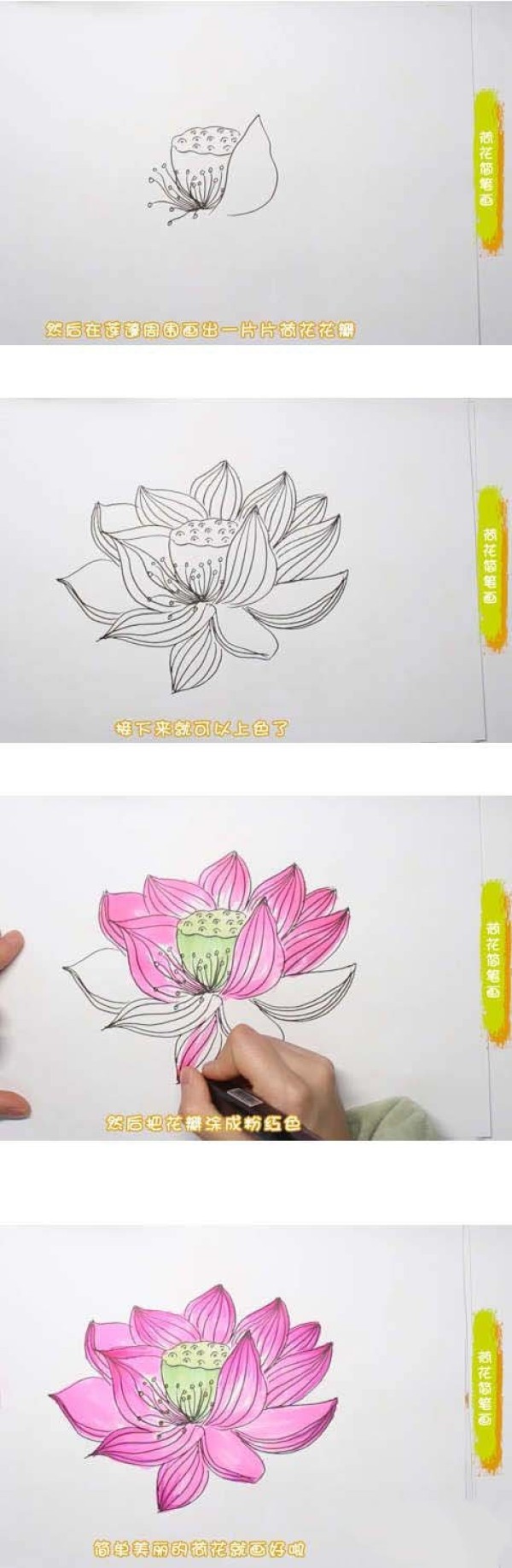 怎么画荷花