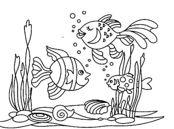 海洋动物的简笔画图片