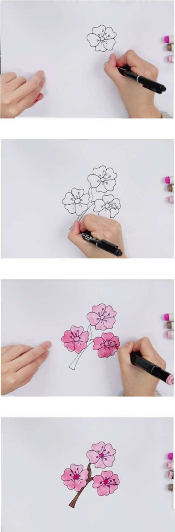 手绘樱花简笔画