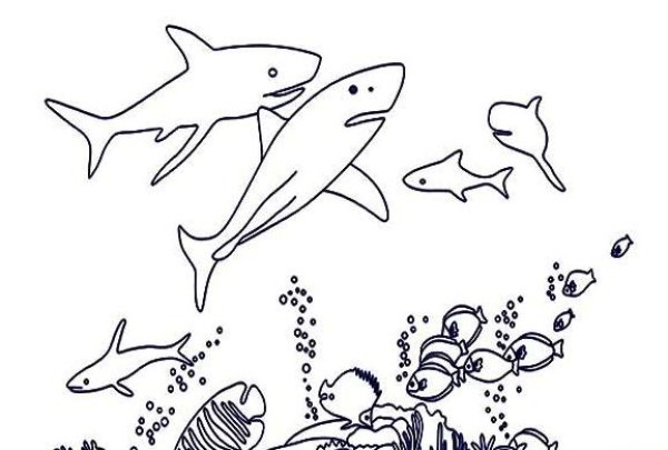 海洋动物的简笔画图片
