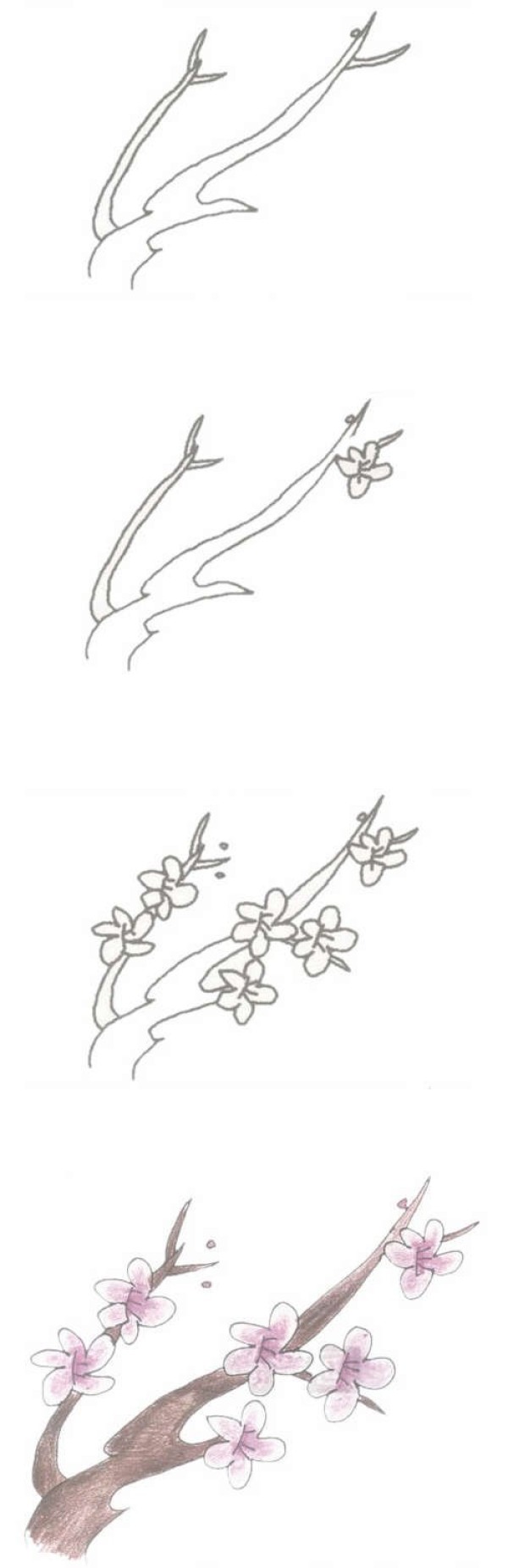 简单漂亮的梅花怎么画
