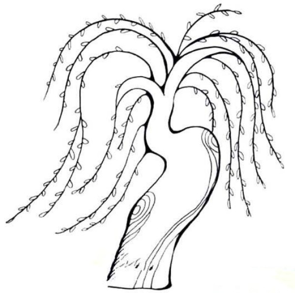 柳树飘扬简笔画