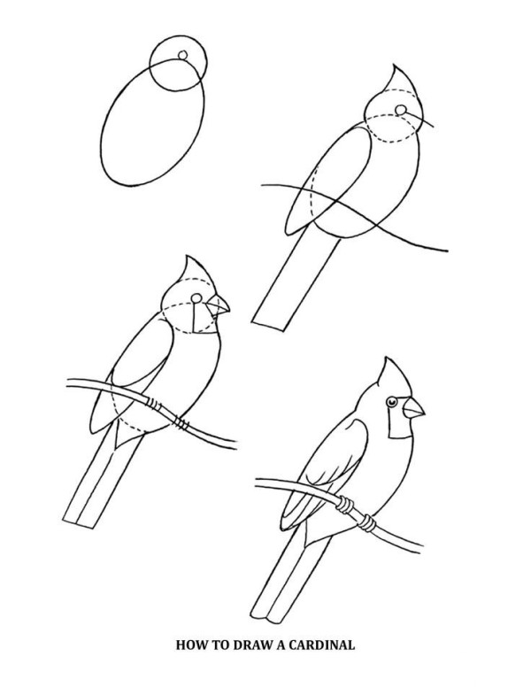 如何画小鸟