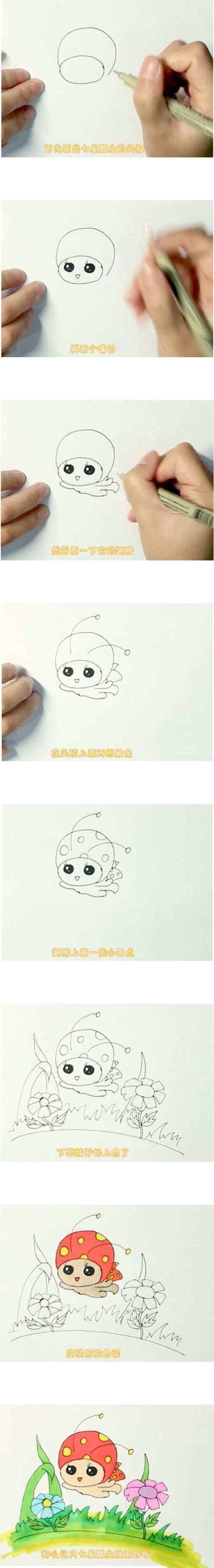 飞舞的七星瓢虫简笔画
