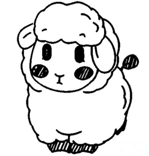 小绵羊简笔画