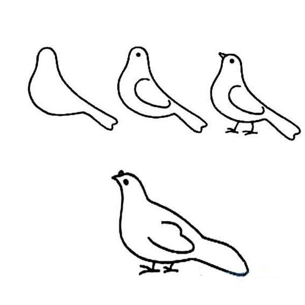 怎么画和平鸽