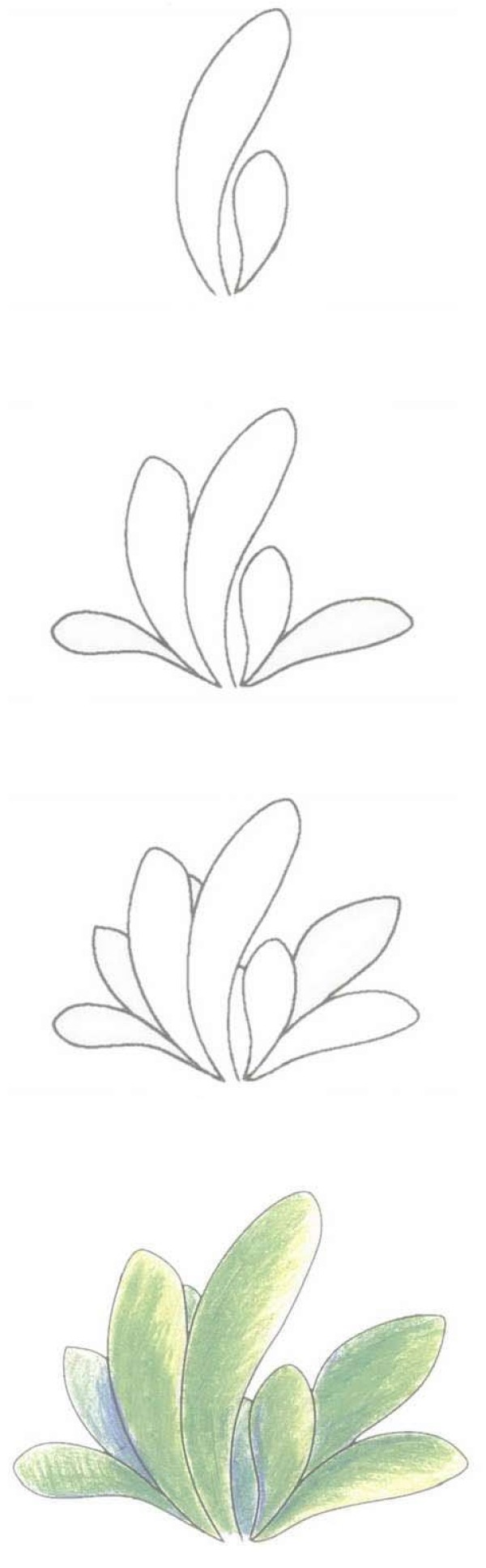 手绘一株小草简笔画