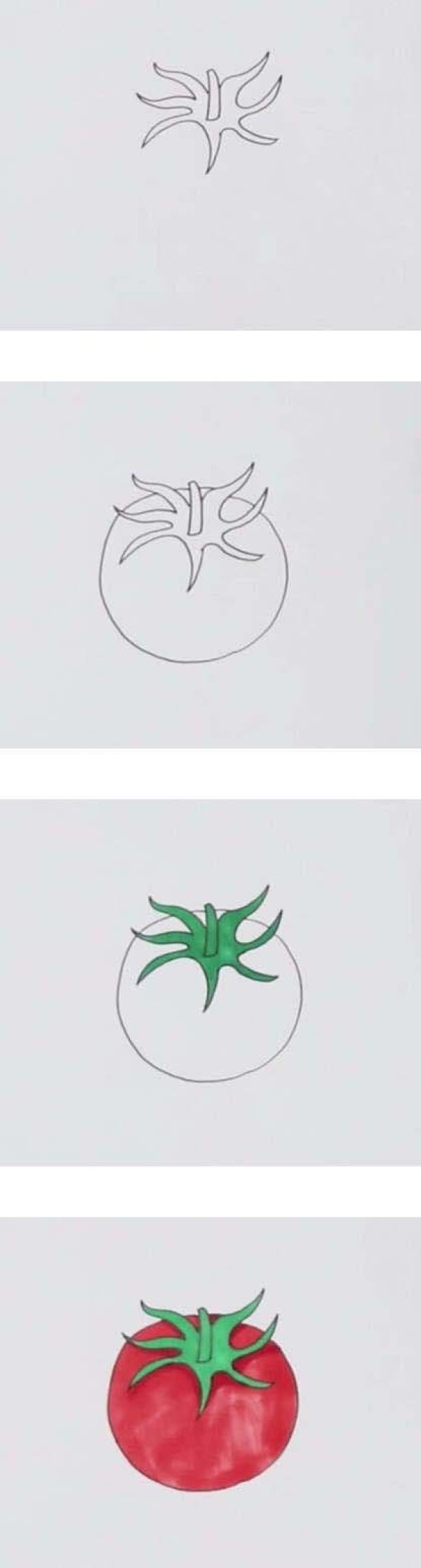 怎么画西红柿
